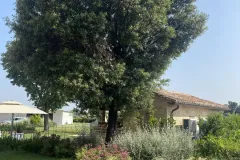 Assisi-realizzazione-giardino-privato-IMG_7876-copia