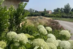 Assisi-realizzazione-giardino-privato-IMG_7879-copia
