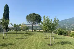 Assisi-realizzazione-giardino-privato-IMG_7908-copia