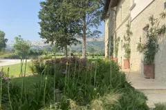 Assisi-realizzazione-giardino-privatoIMG_7921-copia