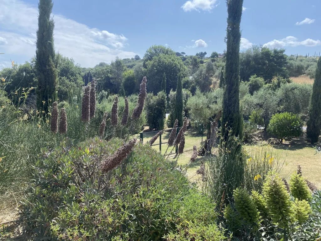 giardino in stile naturale