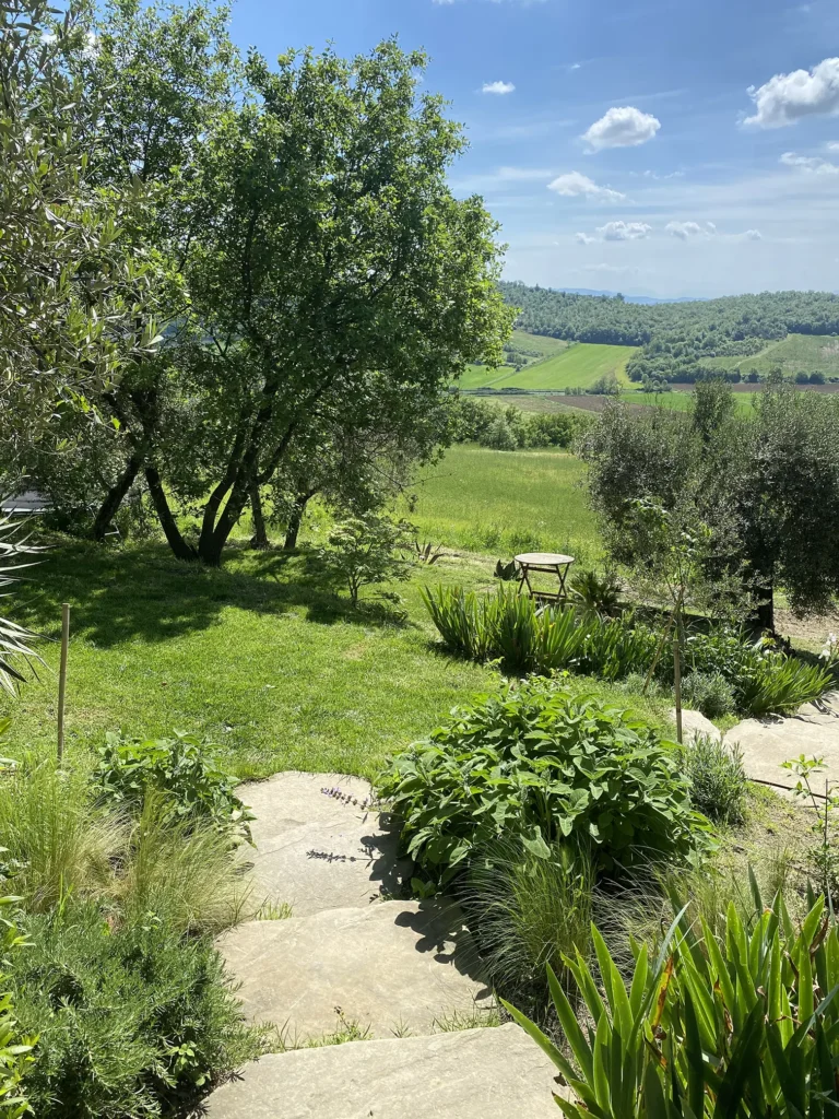giardino mediterraneo a bassa manutenzione progettato da aprus