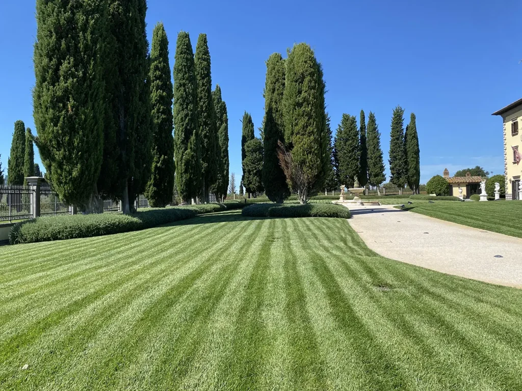 prato e alberi curati da Aprus
