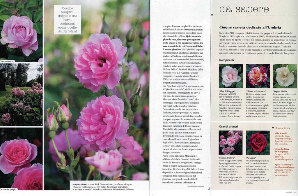 affacciato-sul-lago-restauro-parco-storico - foto articolo 3