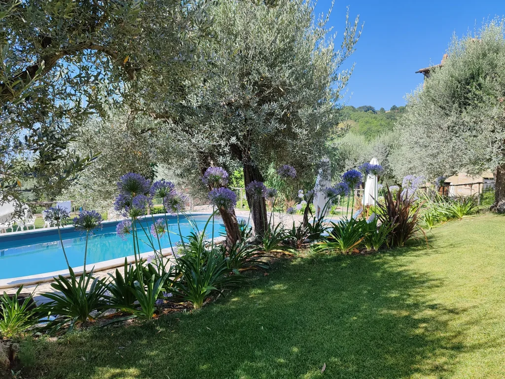 piscina realizzata in giardino privato