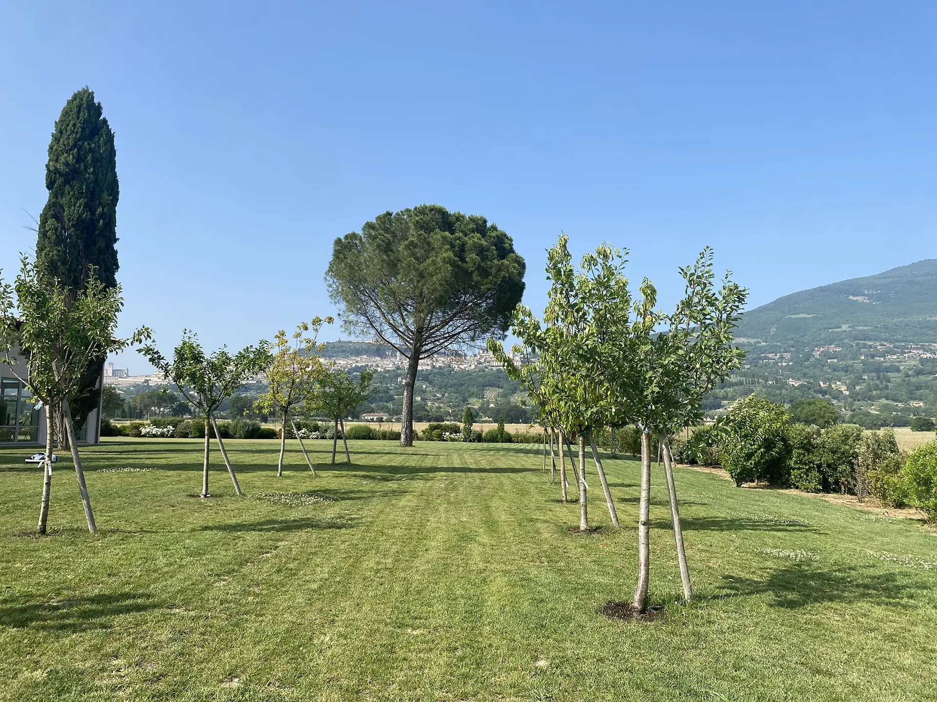 Assisi-realizzazione giardino privato