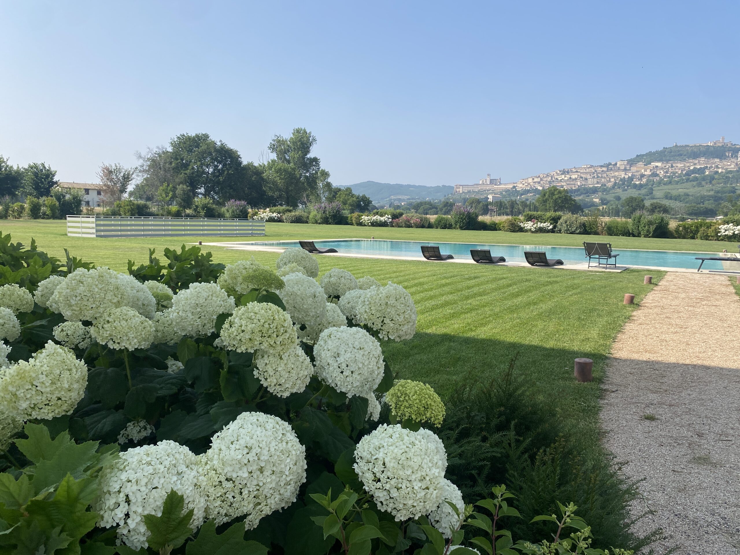 realizzazione di giardino privato con piscina e vista su Assisi