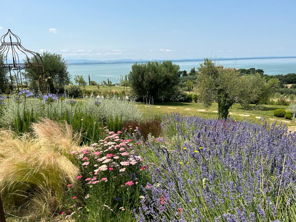 PROGETTIAMO IL TUO VERDE