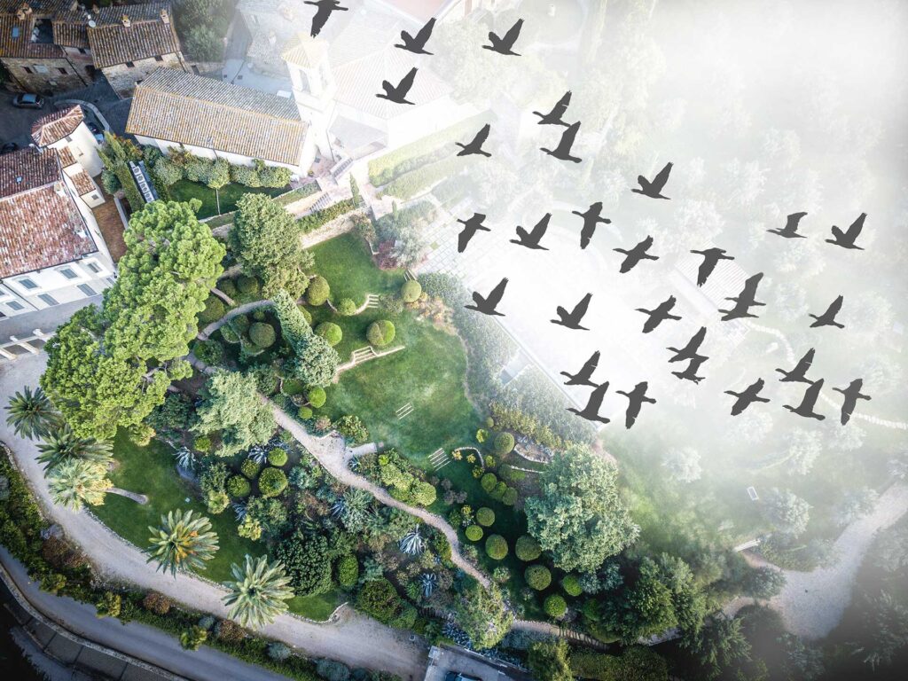 PROGETTIAMO IL TUO VERDE